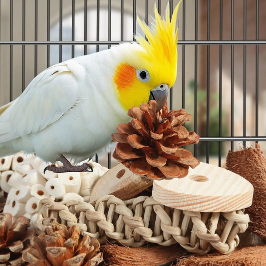 Natural Foraging Box for Parrots