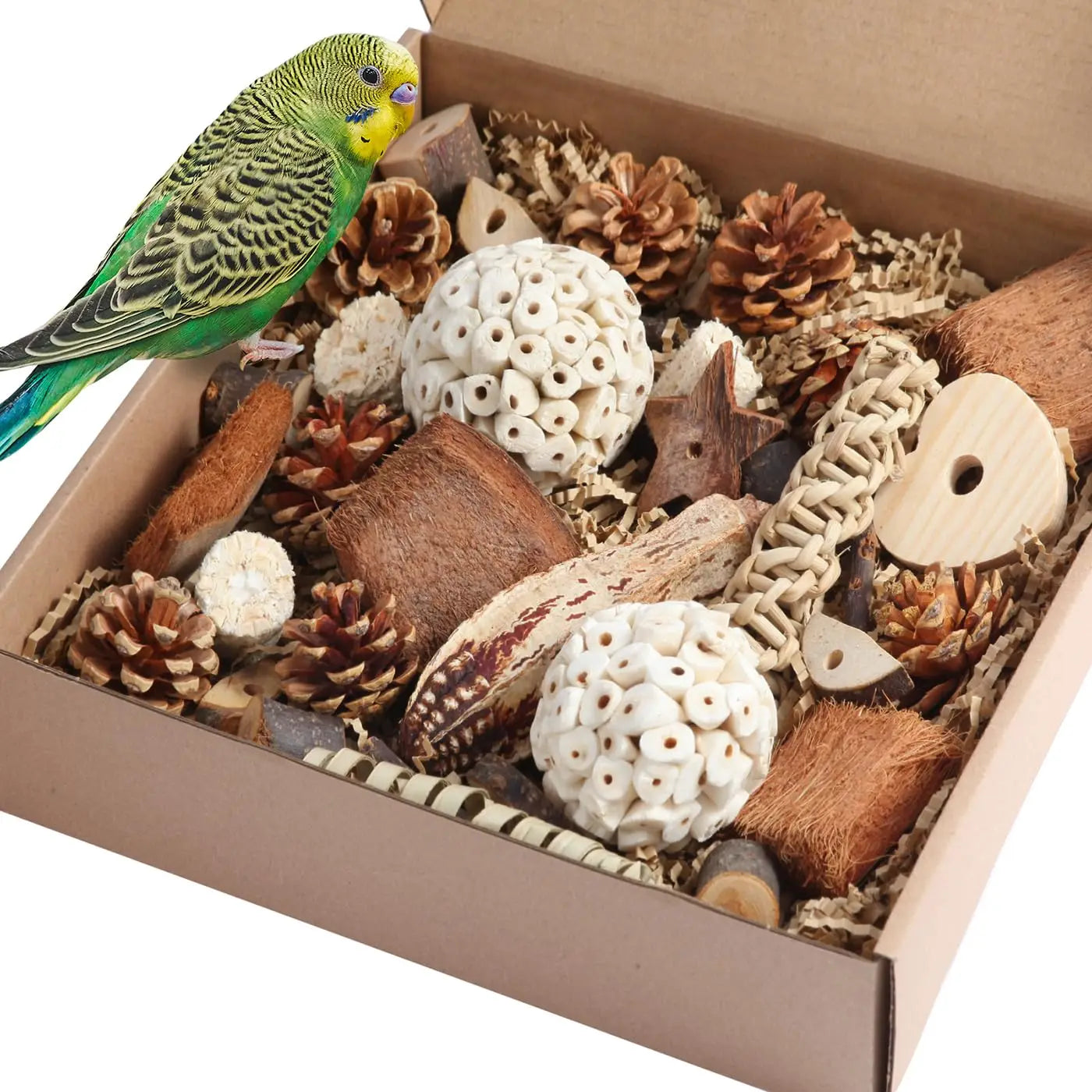 Natural Foraging Box for Parrots