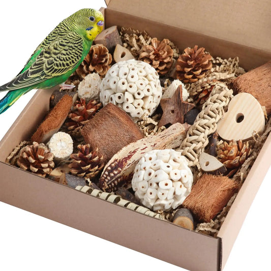 Natural Foraging Box for Parrots